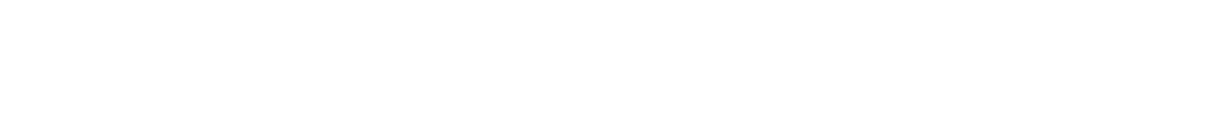 ANA GROUP
